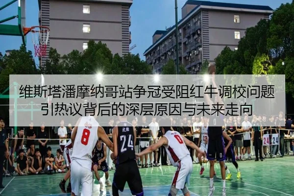 维斯塔潘摩纳哥站争冠受阻红牛调校问题引热议背后的深层原因与未来走向