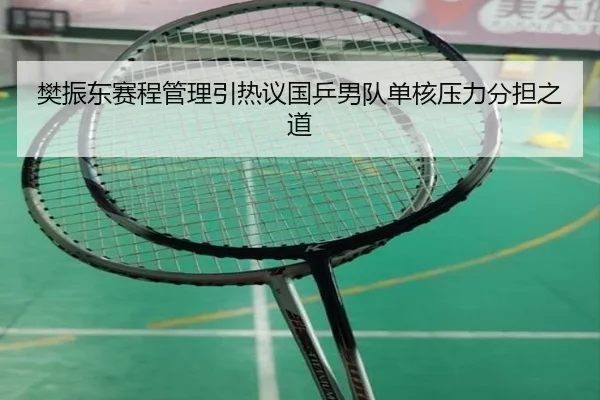 樊振东赛程管理引热议国乒男队单核压力分担之道